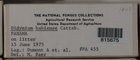 Image Associated With the Occurence